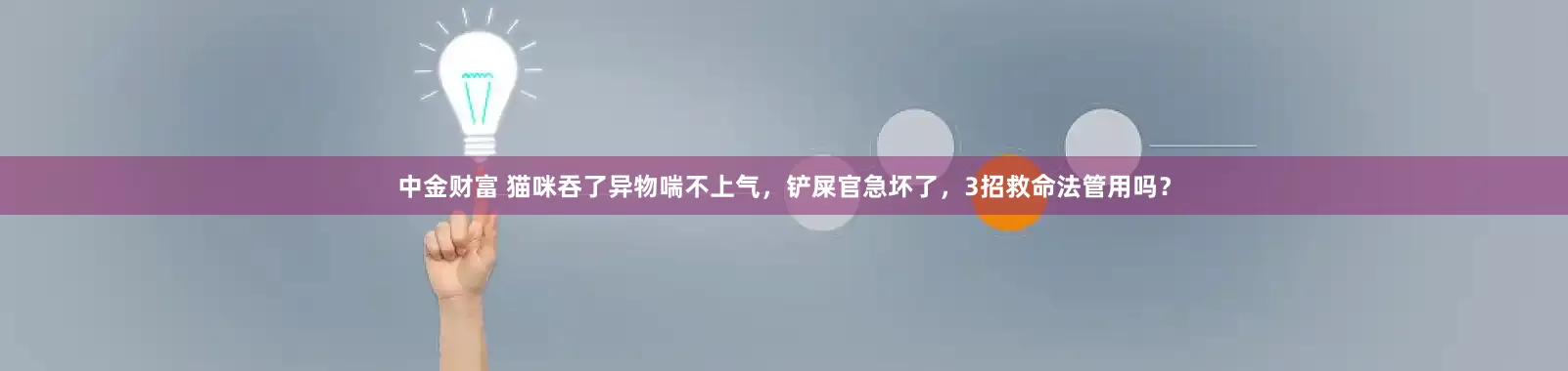中金财富 猫咪吞了异物喘不上气，铲屎官急坏了，3招救命法管用吗？